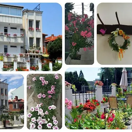 Guest house Margarita